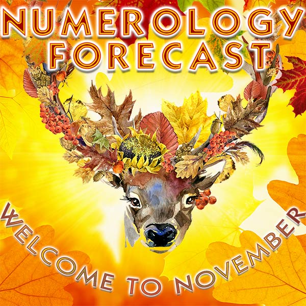 Numerology Forecast for the current month.